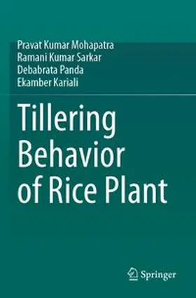 Mohapatra / Sarkar / Panda | Tillering Behavior of Rice Plant | Buch | 978-981-97-5237-9 | www.sack.de