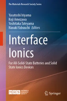 Iriyama / Amezawa / Tateyama |  Interface Ionics | eBook | Sack Fachmedien