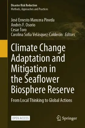 Mancera Pineda / Velásquez-Calderón / Osorio |  Climate Change Adaptation and Mitigation in the Seaflower Biosphere Reserve | Buch |  Sack Fachmedien