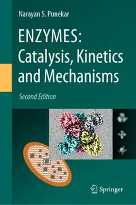 Punekar | ENZYMES: Catalysis, Kinetics and Mechanisms | E-Book | www.sack.de