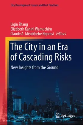 Zhang / Meutchehe Ngomsi / Kanini Wamuchiru | The City in an Era of Cascading Risks | Buch | 978-981-99-2049-5 | sack.de