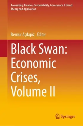 Açikgöz / Açikgöz | Black Swan: Economic Crises, Volume II | Buch | 978-981-99-2317-5 | sack.de