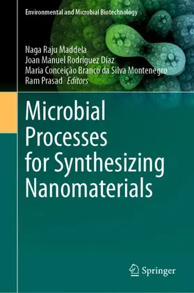 Maddela / Prasad / Rodríguez Díaz |  Microbial Processes for Synthesizing Nanomaterials | Buch |  Sack Fachmedien