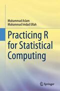 Imdad Ullah / Aslam |  Practicing R for Statistical Computing | Buch |  Sack Fachmedien