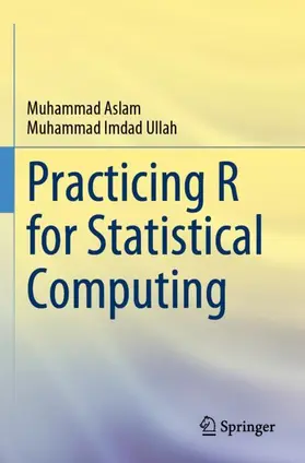 Aslam / Imdad Ullah |  Practicing R for Statistical Computing | Buch |  Sack Fachmedien