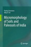 Pal / Srivastava |  Micromorphology of Soils and Paleosols of India | Buch |  Sack Fachmedien