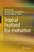 Osaki / Sulaiman / Tsuji |  Tropical Peatland Eco-evaluation | Buch |  Sack Fachmedien