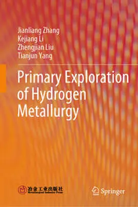 Zhang / Li / Liu |  Primary Exploration of Hydrogen Metallurgy | eBook | Sack Fachmedien