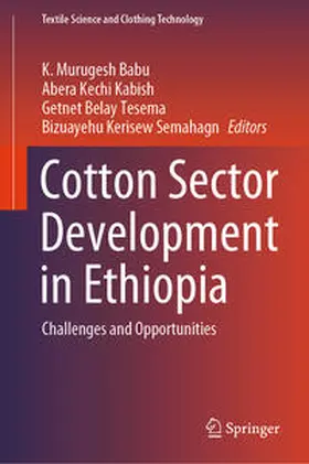Murugesh Babu / Kabish / Tesema |  Cotton Sector Development in Ethiopia | eBook | Sack Fachmedien
