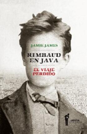 James |  Rimbaud en Java | eBook | Sack Fachmedien