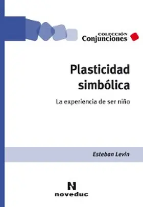 Levin |  Plasticidad simbólica | eBook | Sack Fachmedien