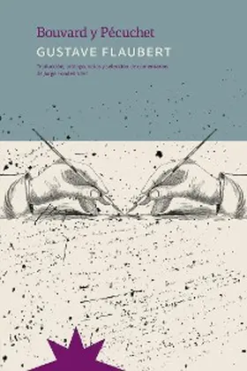 Flaubert / Fondebrider |  Bouvard y Pécuchet | eBook | Sack Fachmedien