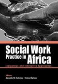 Twikirize / Spitzer |  Social Work Practice in Africa | eBook | Sack Fachmedien
