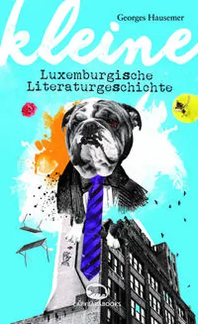 Hausemer |  Kleine luxemburgische Literaturgeschichte | Buch |  Sack Fachmedien