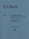 Heinemann |  Johann Sebastian Bach - Drei Gambensonaten BWV 1027-1029 | Buch |  Sack Fachmedien