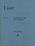 Heinemann |  Franz Liszt - Bénédiction de Dieu dans la solitude | Buch |  Sack Fachmedien