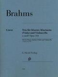 Brahms / Loose-Einfalt |  Trio für Klavier, Klarinette (Viola) und Violoncello a-moll op. 114 | Buch |  Sack Fachmedien