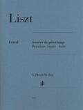 Jost |  Franz Liszt - Années de pèlerinage, Deuxième Année - Italie | Buch |  Sack Fachmedien