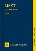Herttrich |  Franz Liszt - Klaviersonate h-moll | Buch |  Sack Fachmedien