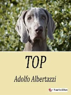 Albertazzi |  Top | eBook | Sack Fachmedien