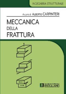 Carpinteri |  Meccanica della Frattura | eBook | Sack Fachmedien