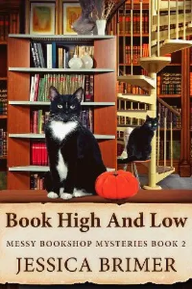 Brimer |  Book High And Low | eBook | Sack Fachmedien