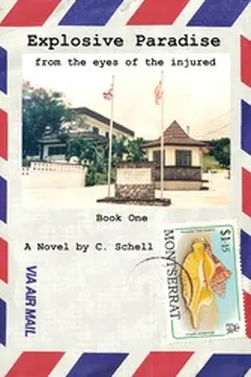 Schell |  Explosive Paradise: From the Eyes of the Injured | eBook | Sack Fachmedien