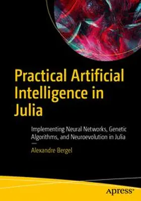 Bergel |  Practical Artificial Intelligence in Julia | eBook | Sack Fachmedien