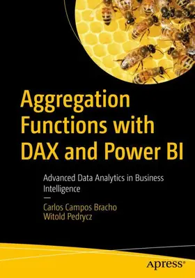 Campos Bracho / Pedrycz |  Aggregation Functions with DAX and Power BI | Buch |  Sack Fachmedien