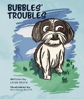 Stone |  Bubbles' Troubles | eBook | Sack Fachmedien