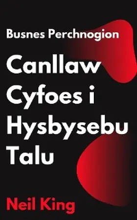 King |  Busnes Perchnogion Canllaw Cyfoes i Hysbysebu Talu | eBook | Sack Fachmedien