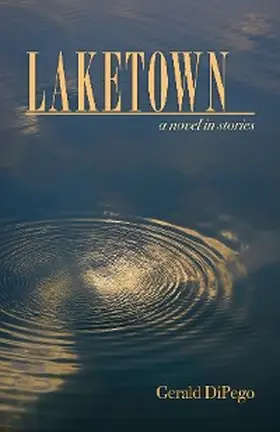 DiPego |  LAKETOWN | eBook | Sack Fachmedien