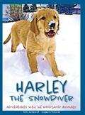 Gill |  Harley the Snowdiver | eBook | Sack Fachmedien